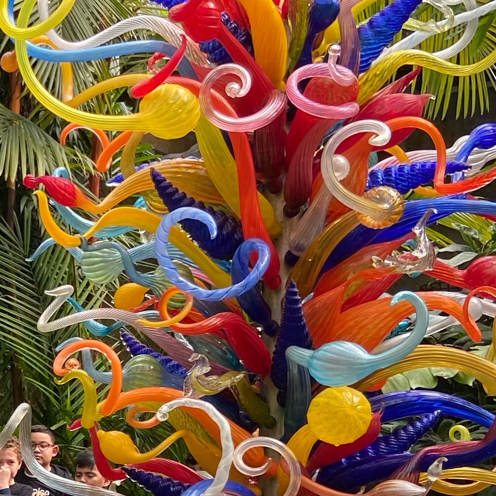 Meet your Posher, Rafaela